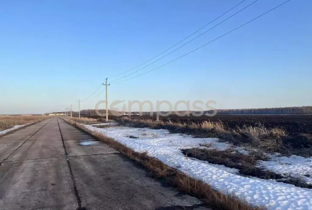 Участок в Тюменская область, Тюменский район, с. Кулаково  (8.0 сот.) - Фото 0