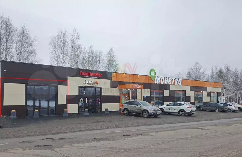 Торговое помещение на трафике Монетки 78 м2 - Фото 1