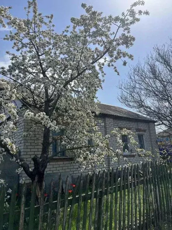 Дом в Белгородская область, Старооскольский городской округ, с. ... - Фото 1