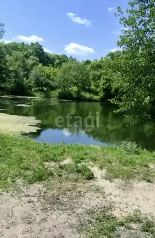 Участок в Саратовская область, Лысогорское муниципальное образование, ... - Фото 0