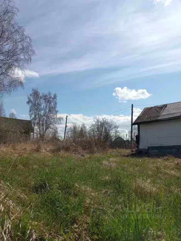 Участок в Вологодская область, Вологда Березка-2 садоводческое ... - Фото 0