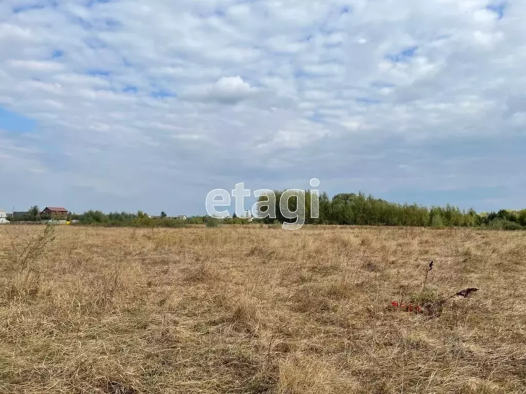 Купить Участок В Новоусманском Районе Воронежской Области