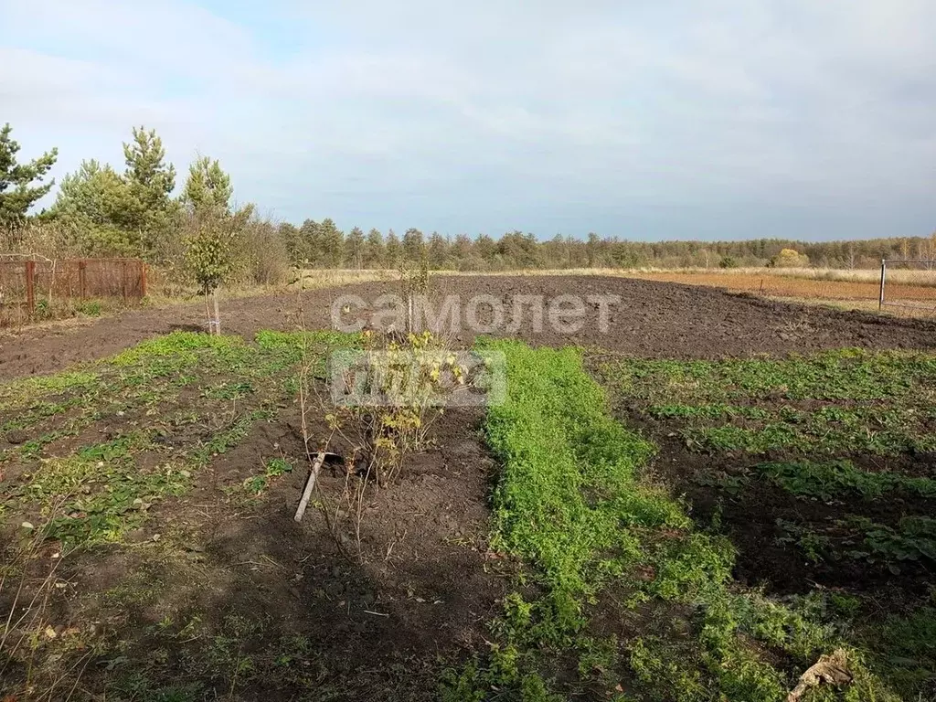 Участок в Липецкая область, Липецк Радужный кп,  (10.0 сот.) - Фото 1