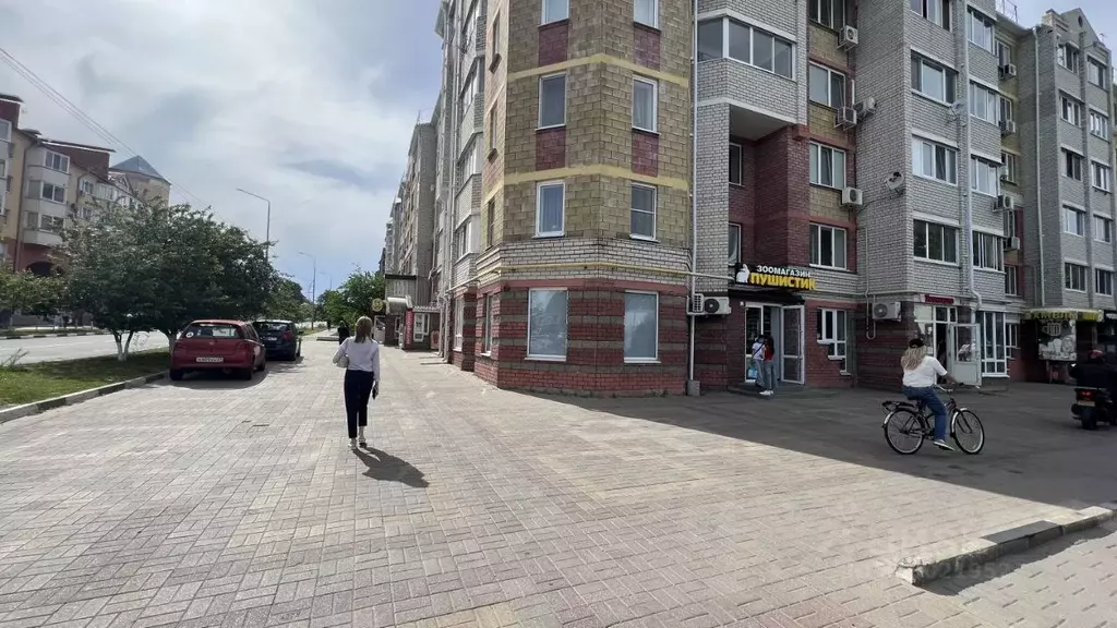 Помещение свободного назначения в Белгородская область, Белгородский ... - Фото 0