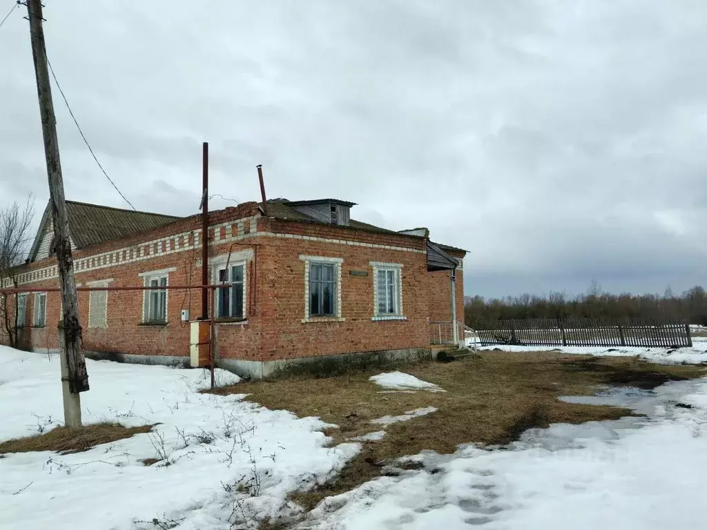 Помещение свободного назначения в Мордовия, Большеберезниковский ... - Фото 1