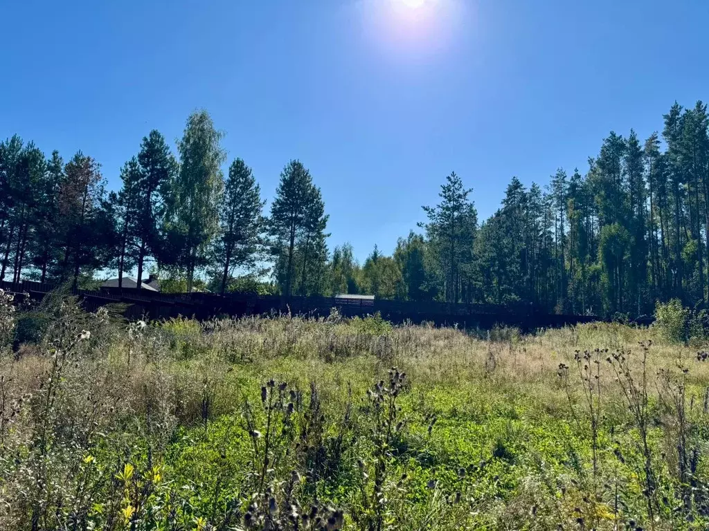 Участок в Нижегородская область, Дальнеконстантиновский муниципальный ... - Фото 2