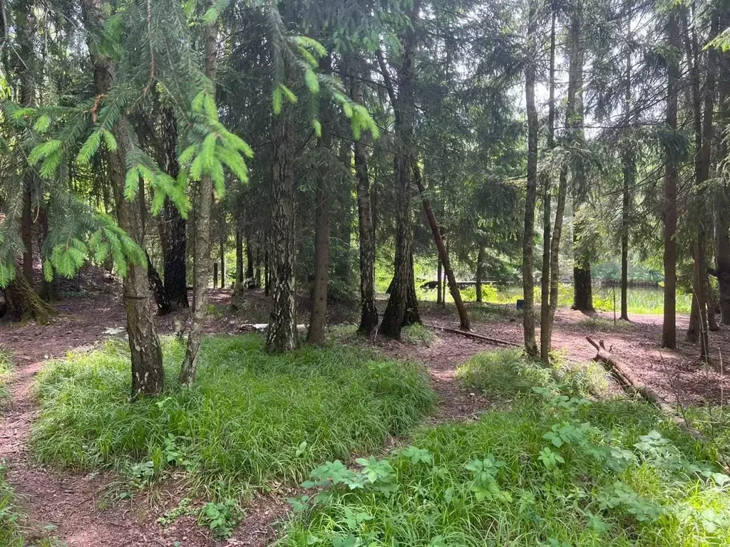 Участок в Московская область, Одинцовский городской округ, пос. НИИ ... - Фото 0