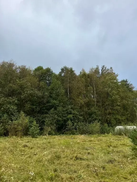 Участок в Ленинградская область, Выборгский район, Приморское ... - Фото 1