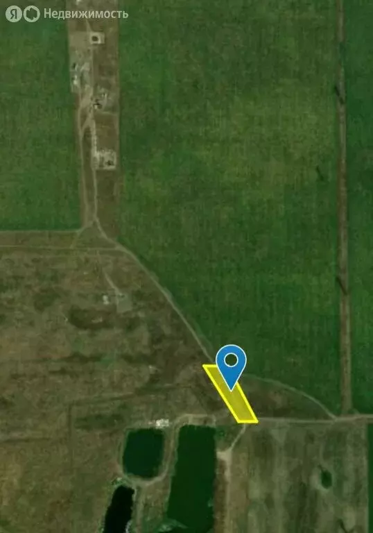 Участок в Краснодар, садовое товарищество Дружба-1, Полевая улица, 1 ... - Фото 1