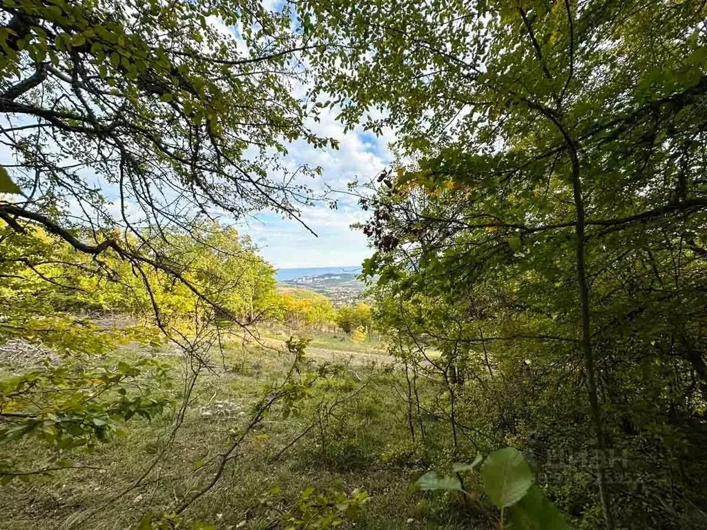 Участок в Крым, Алушта муниципальный округ, с. Изобильное  (7.0 сот.) - Фото 1