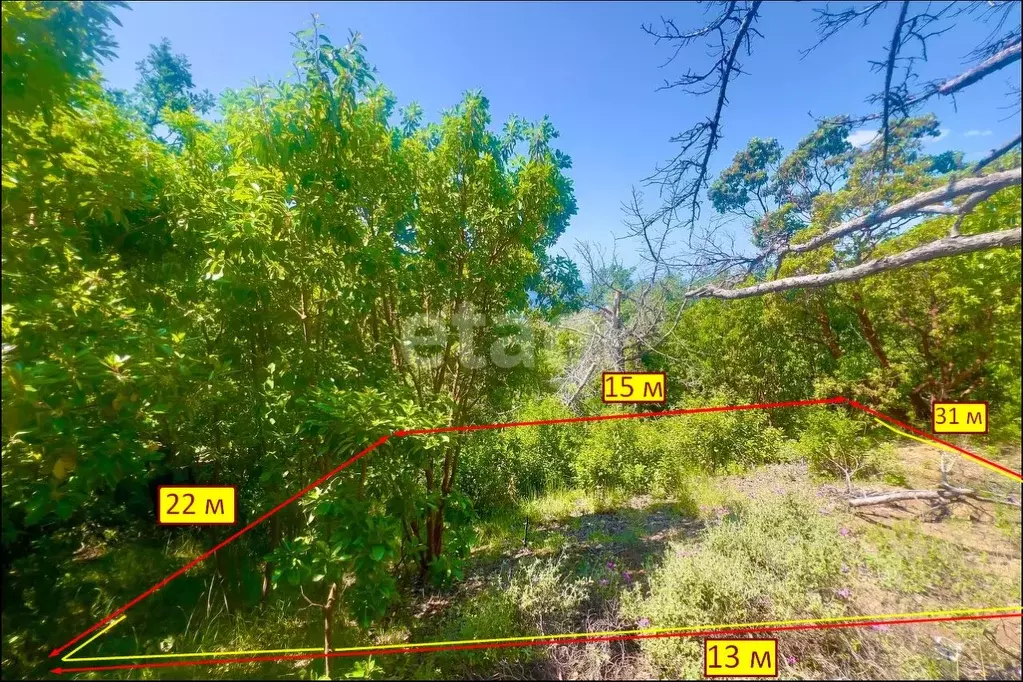 Участок в Крым, Ялта муниципальный округ, Гаспра пгт  (3.6 сот.) - Фото 1