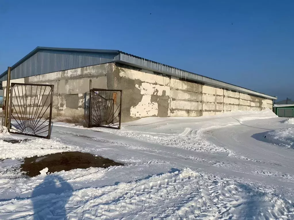 Склад в Алтайский край, Егорьевский район, Новоегорьевский сельсовет, ... - Фото 1