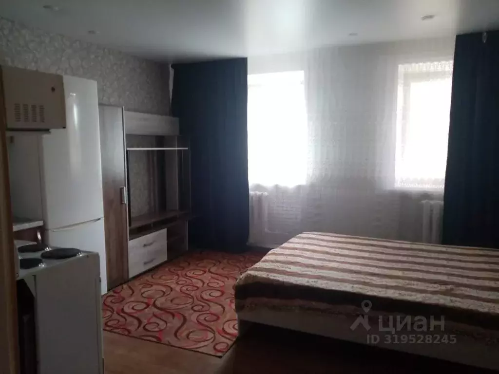 1-к кв. Алтайский край, Барнаул ул. Юрина, 257/13 (25.0 м) - Фото 0