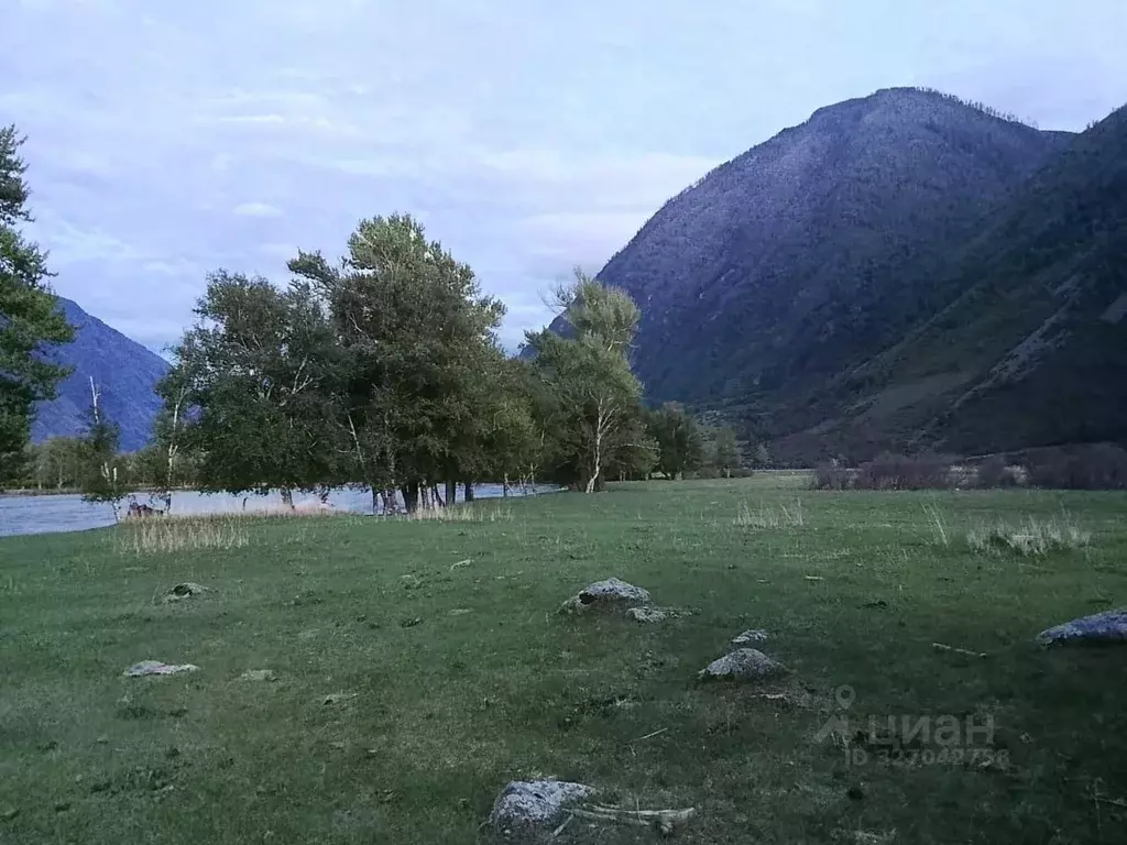 Участок в Алтай, Улаганский район, с. Кок-Паш  (900.0 сот.) - Фото 1