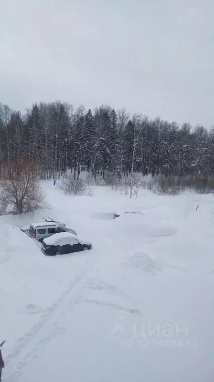 1-к кв. Пермский край, Пермь ул. Карбышева, 74 (34.9 м) - Фото 2