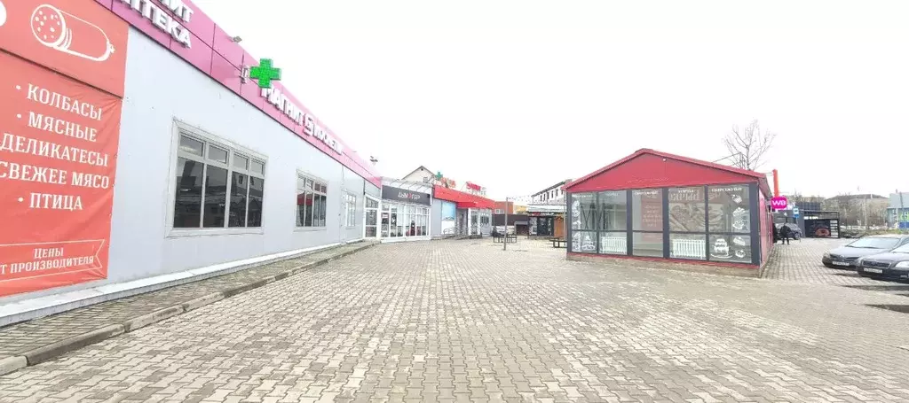 2-к кв. Смоленская область, Смоленск ул. Шевченко, 91А (40.0 м) - Фото 2