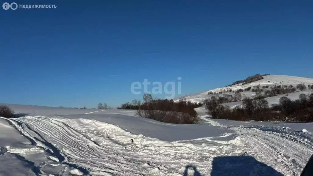 Участок в Майминский район, посёлок Алфёрово (10 м) - Фото 1