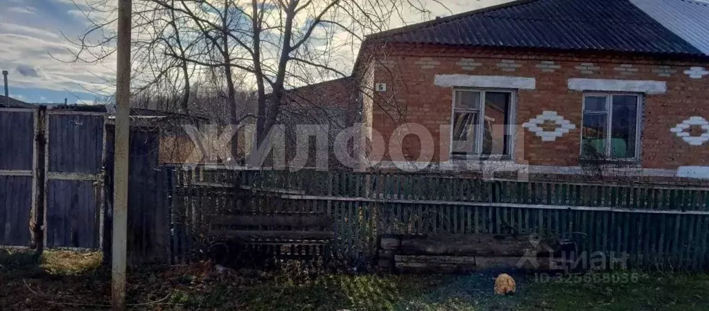 Дом в Новосибирская область, Колыванский район, д. Подгорная ул. ... - Фото 1