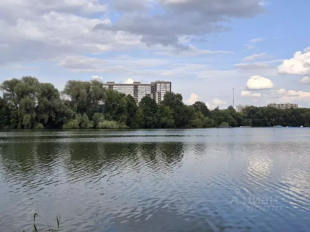 2-к кв. Московская область, Старая Купавна Богородский городской ... - Фото 0