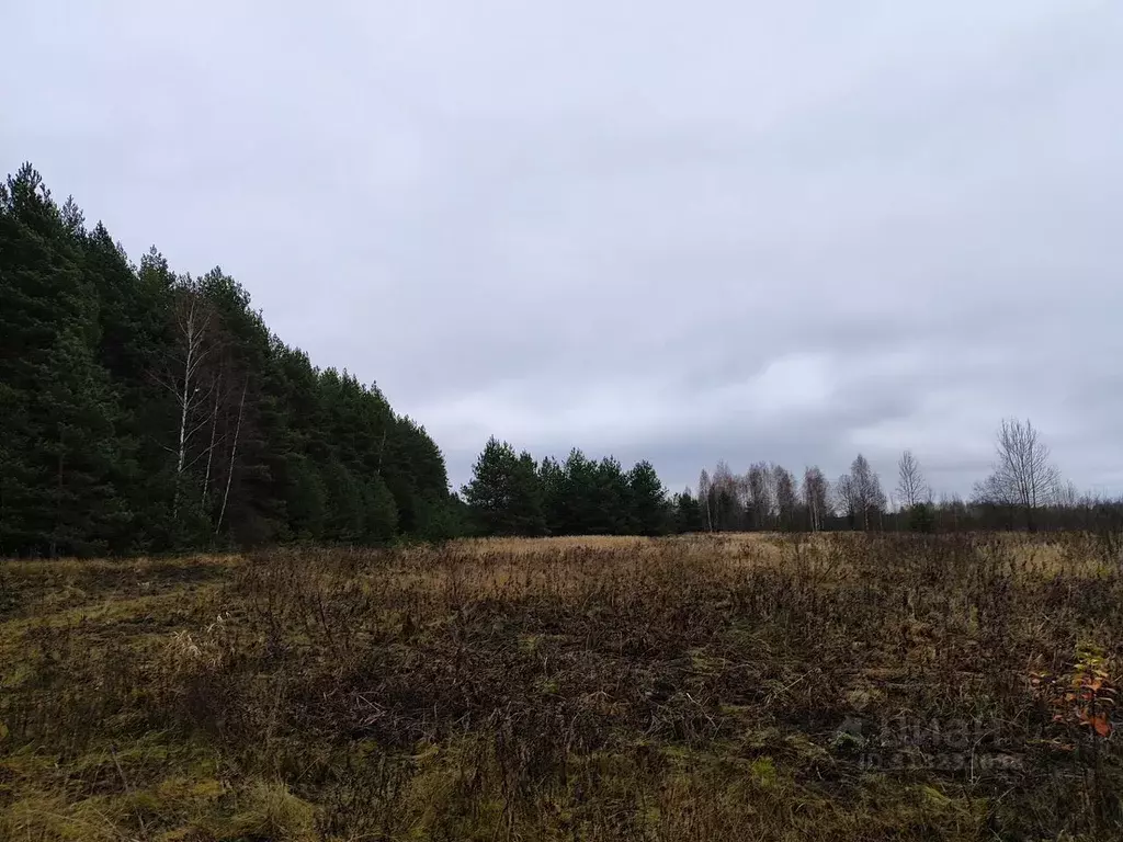 Участок в Владимирская область, Киржачский район, Филипповское ... - Фото 0