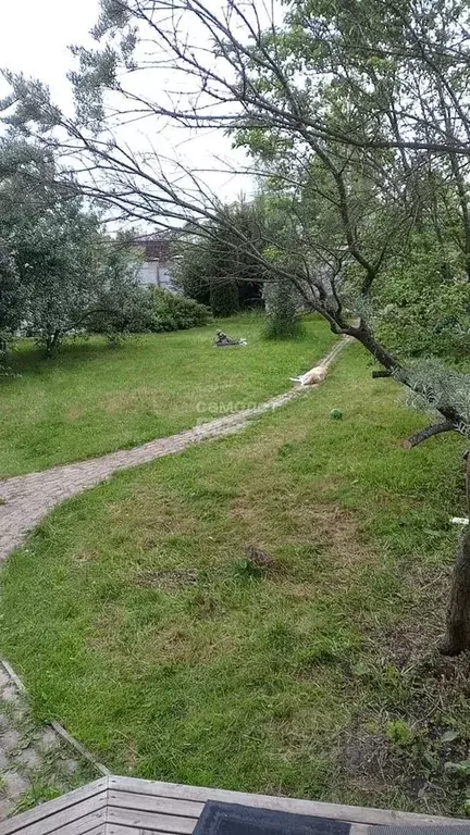 Дом в Московская область, Солнечногорск городской округ, с. Алабушево ... - Фото 1
