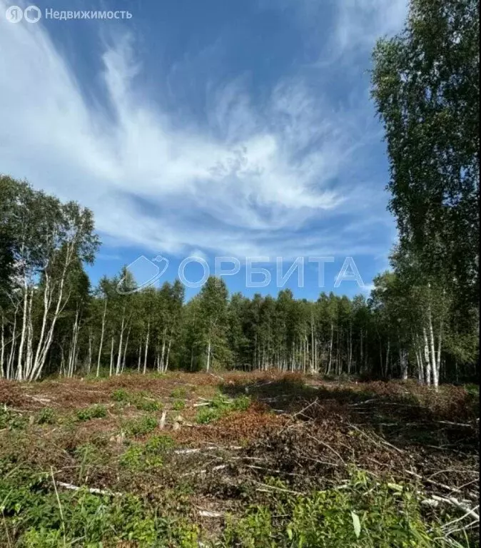 Участок в Нижнетавдинский район, садовое товарищество Моторостроитель, ... - Фото 0