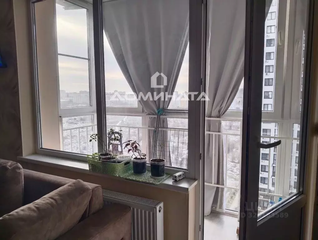 Студия Краснодарский край, Анапа Анапское ш., 24к6 (34.0 м) - Фото 2