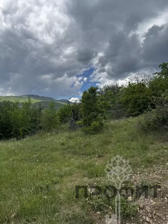 Участок в Крым, Алушта муниципальный округ, с. Лучистое ул. Табачная ... - Фото 2