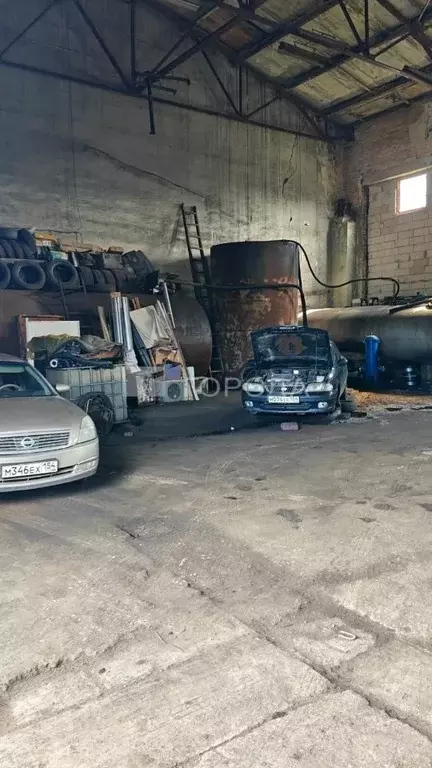 Помещение свободного назначения в Новосибирская область, Новосибирск ... - Фото 1