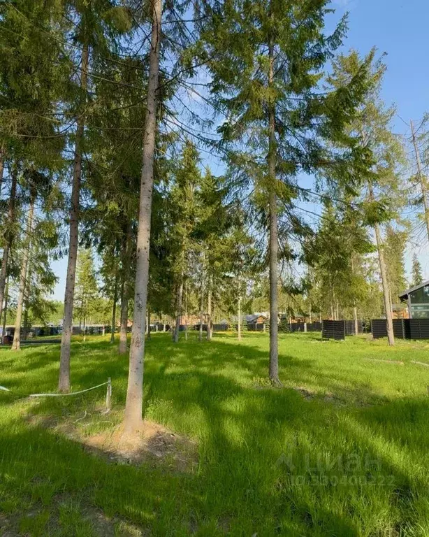 Участок в Московская область, Клин городской округ, Ели Эстейт ... - Фото 2