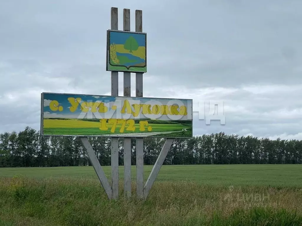 Дом в Новосибирская область, Ордынский район, с. Усть-Луковка ул. П. ... - Фото 0