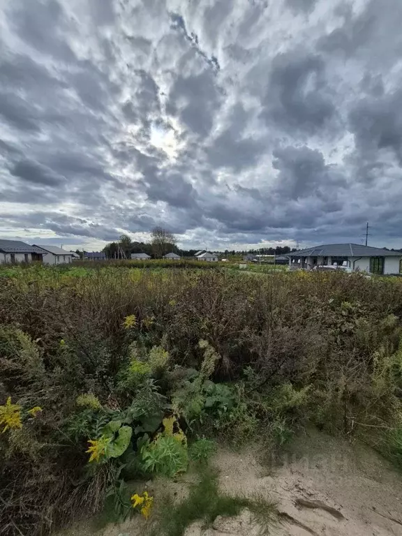 Участок в Калининградская область, Гурьевский муниципальный округ, ... - Фото 1