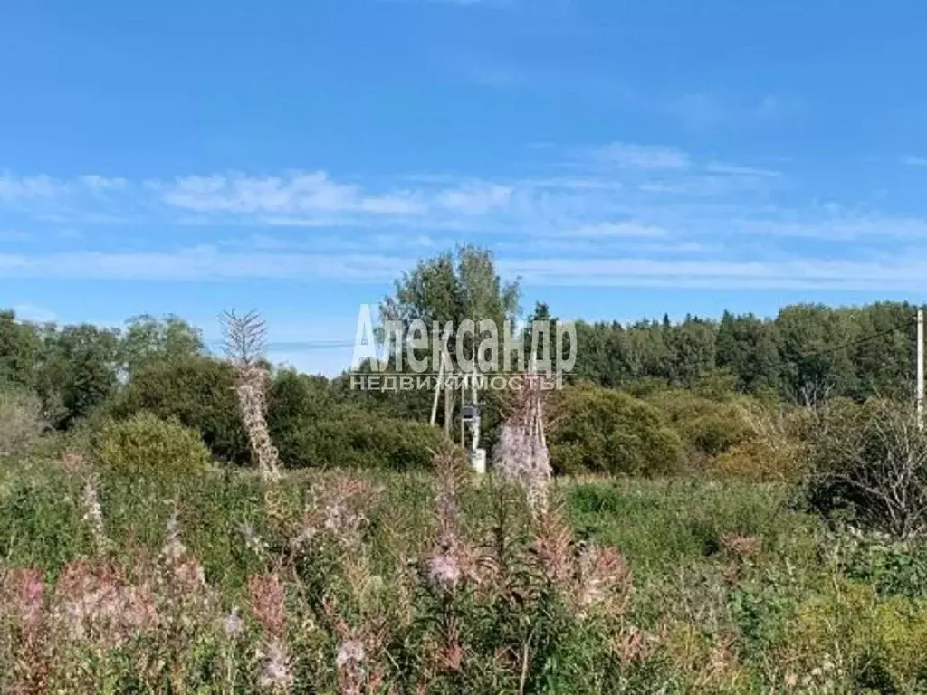 Участок в Ленинградская область, Приозерский район, Мельниковское ... - Фото 1