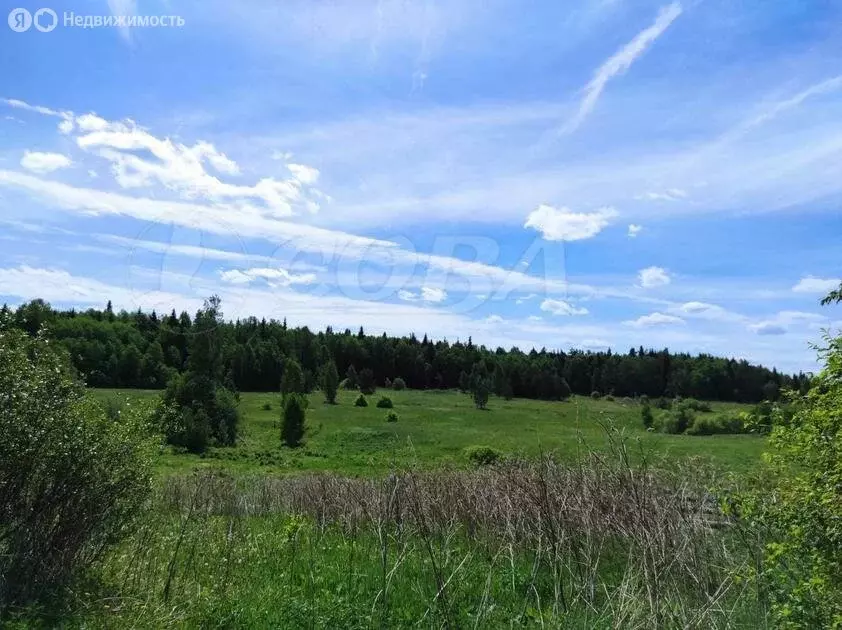 Участок в Тюменский район, село Каменка (9.7 м) - Фото 0