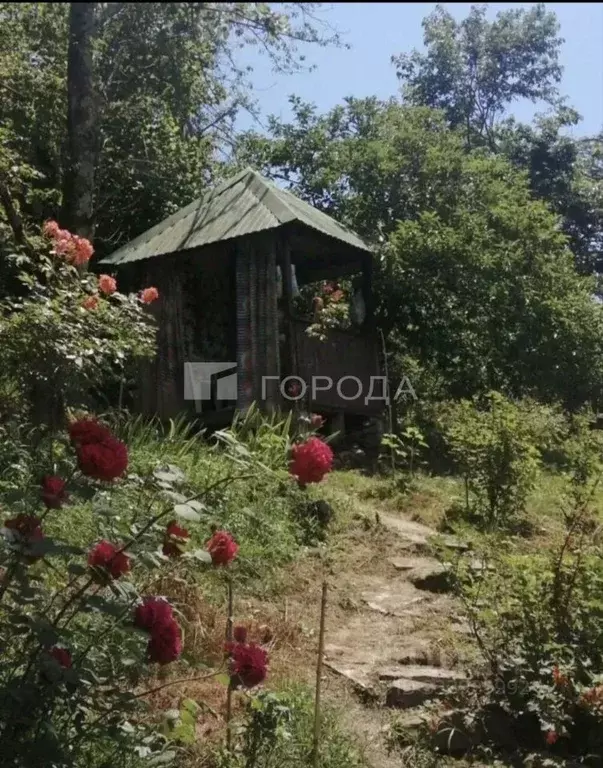Участок в Краснодарский край, Сочи городской округ, с. Пластунка, ... - Фото 1