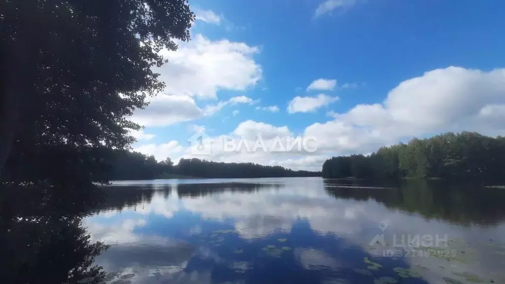 Участок в Владимирская область, Судогодский район, д. Коняево ... - Фото 0