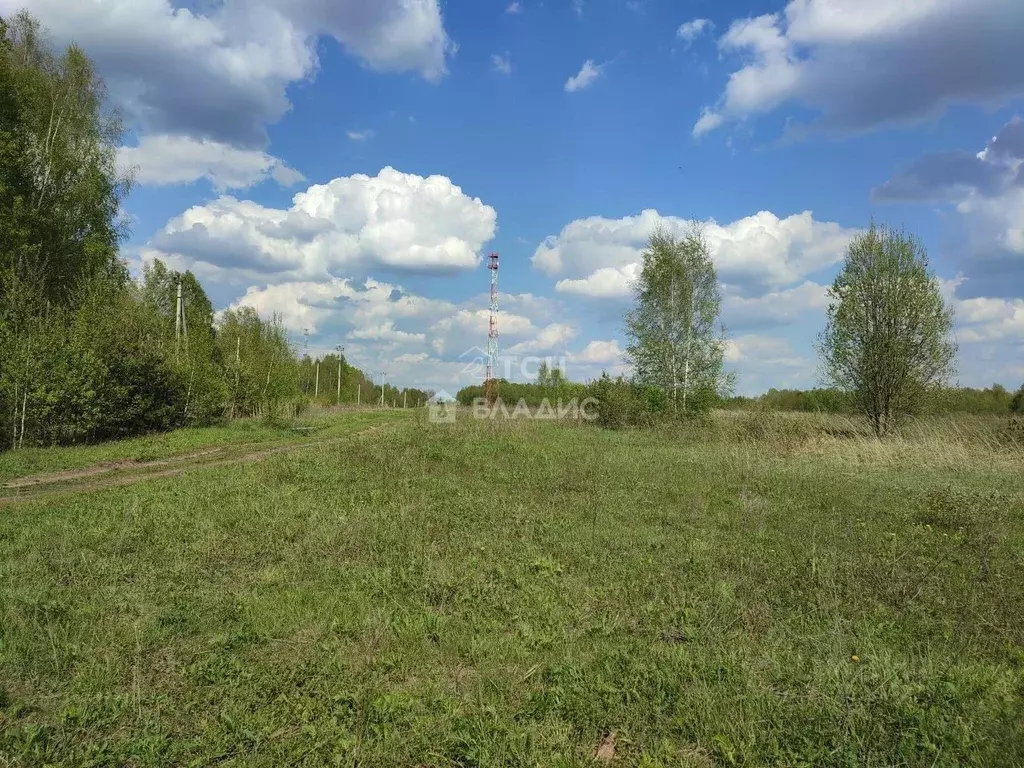 Участок в Московская область, Богородский городской округ, д. Тимково  ... - Фото 0
