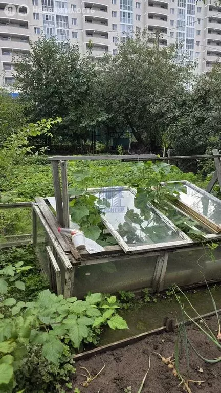 Участок в Чебоксары, садоводческое некоммерческое товарищество Волга, ... - Фото 1