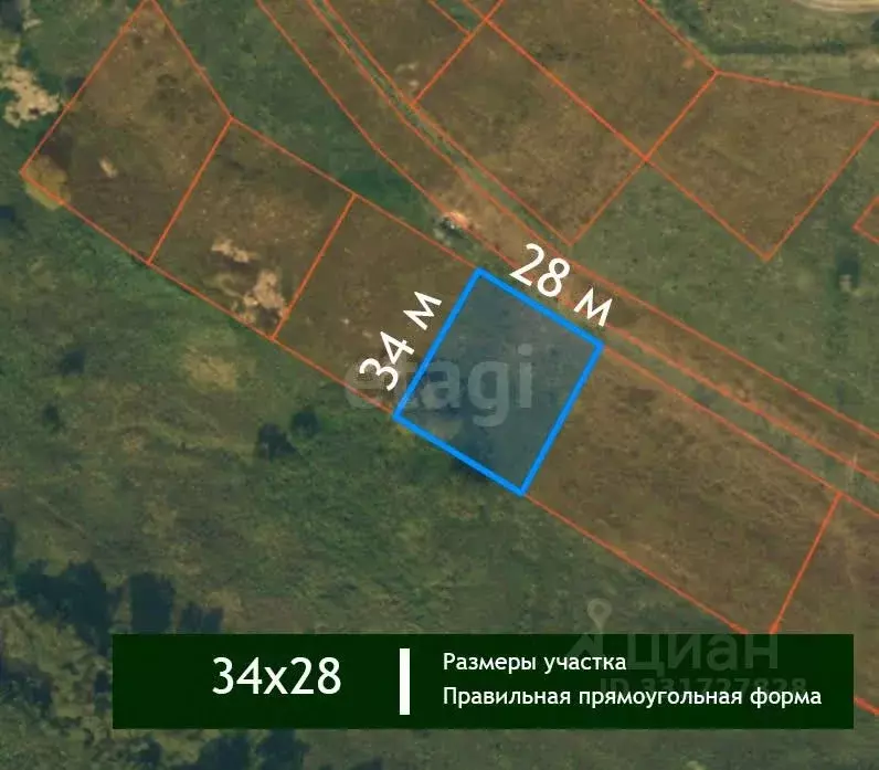 Участок в Московская область, Ступино пос. Белопесоцкий,  (10.0 сот.) - Фото 2