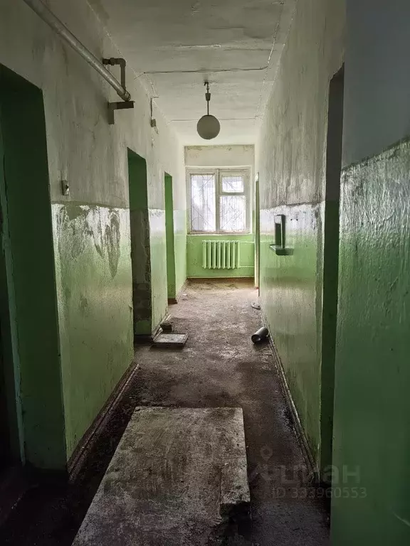 Помещение свободного назначения в Волгоградская область, Камышин ул. ... - Фото 1