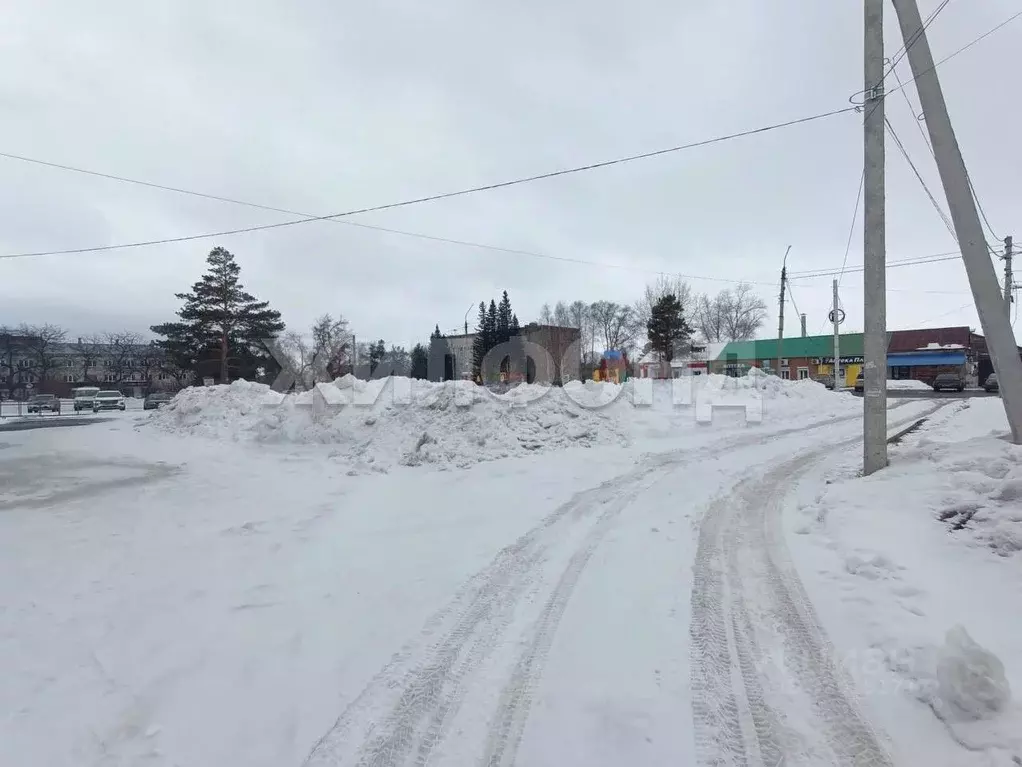 Участок в Новосибирская область, Колывань рп ул. Московская (15.51 ... - Фото 1