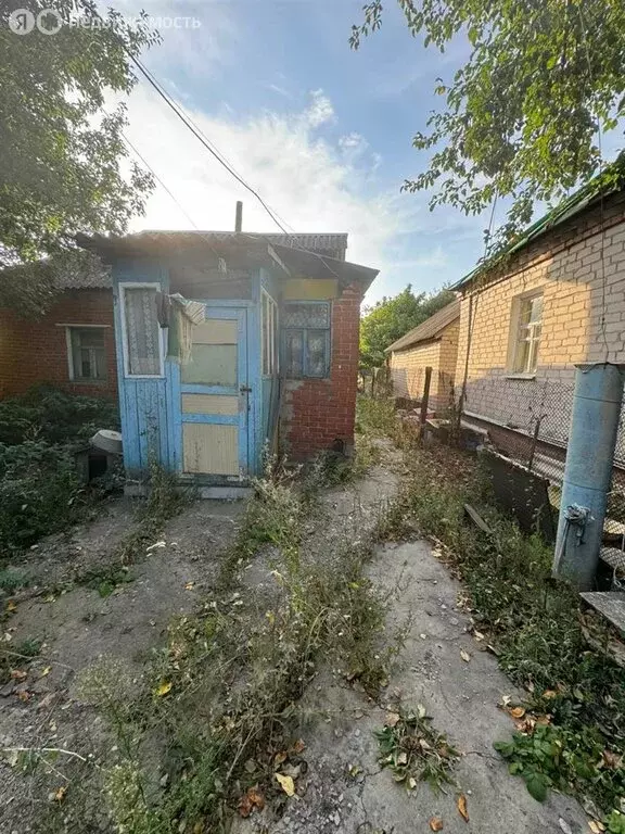 Дом в Верхнехавский район, село Углянец (54.5 м) - Фото 0