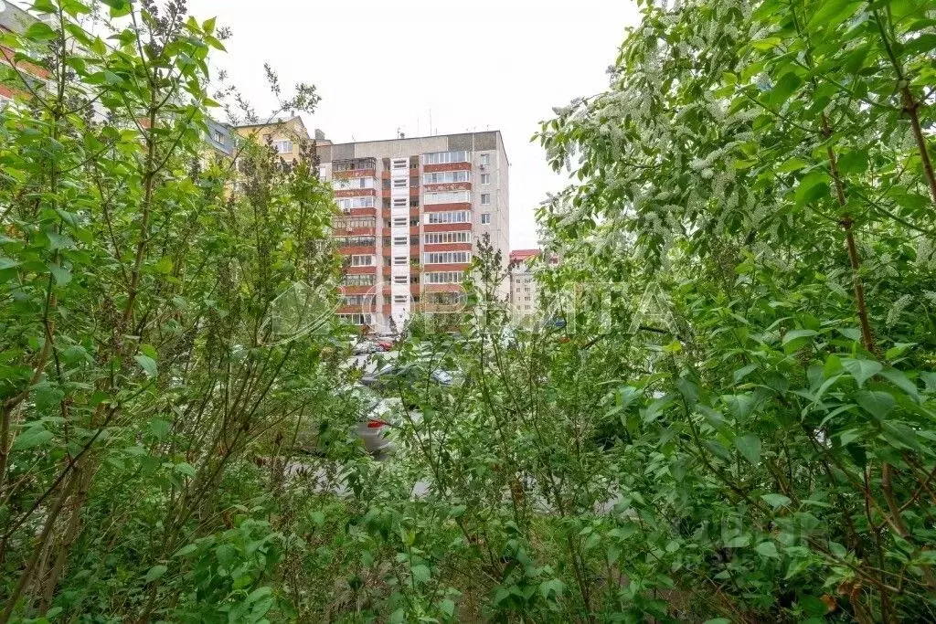 1-к кв. Тюменская область, Тюмень ул. Домостроителей, 26 (37.8 м) - Фото 2