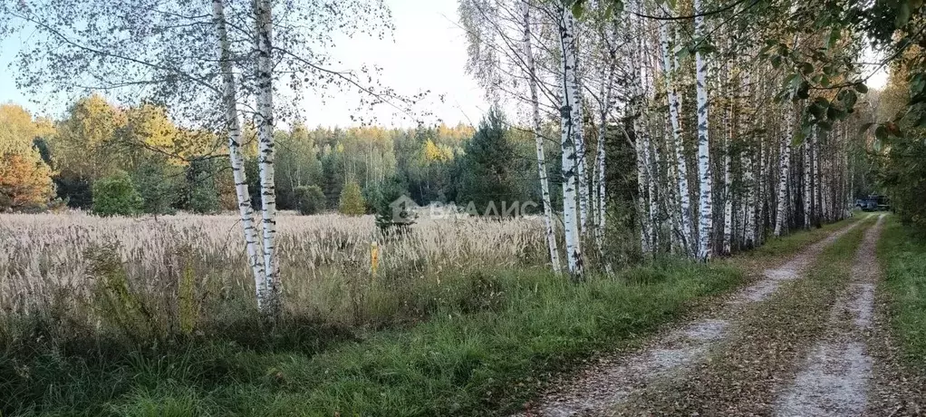 Участок в Владимирская область, Судогодский район, Лавровское ... - Фото 1