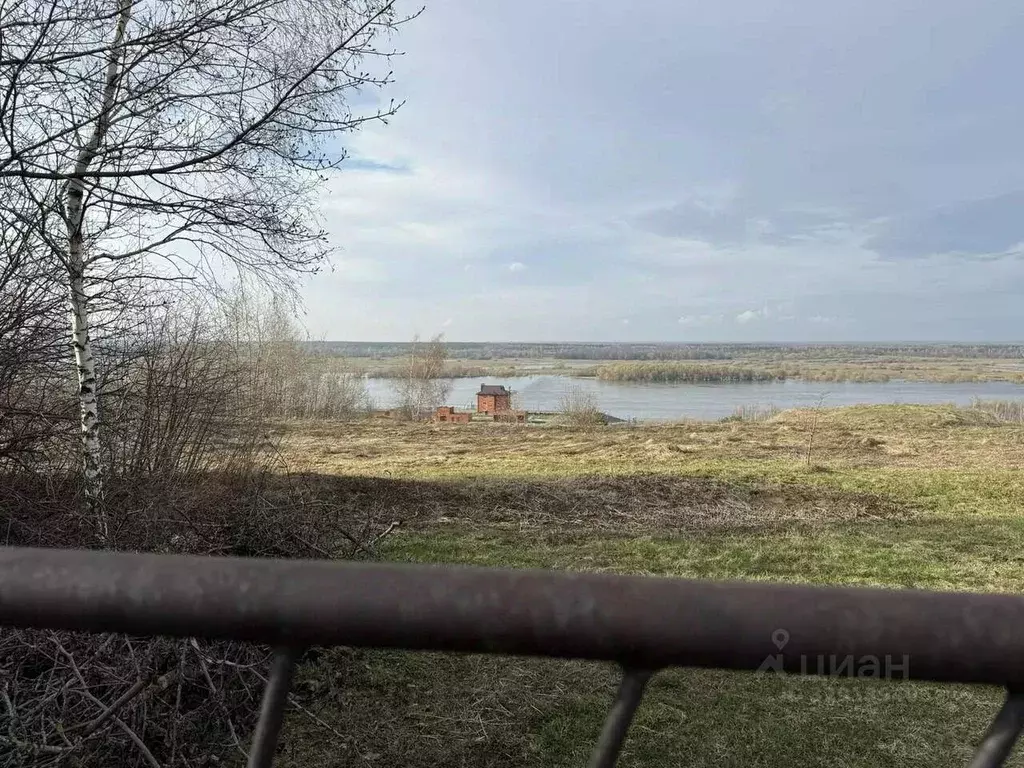 Участок в Рязанская область, Рыбновский муниципальный округ, д. ... - Фото 1