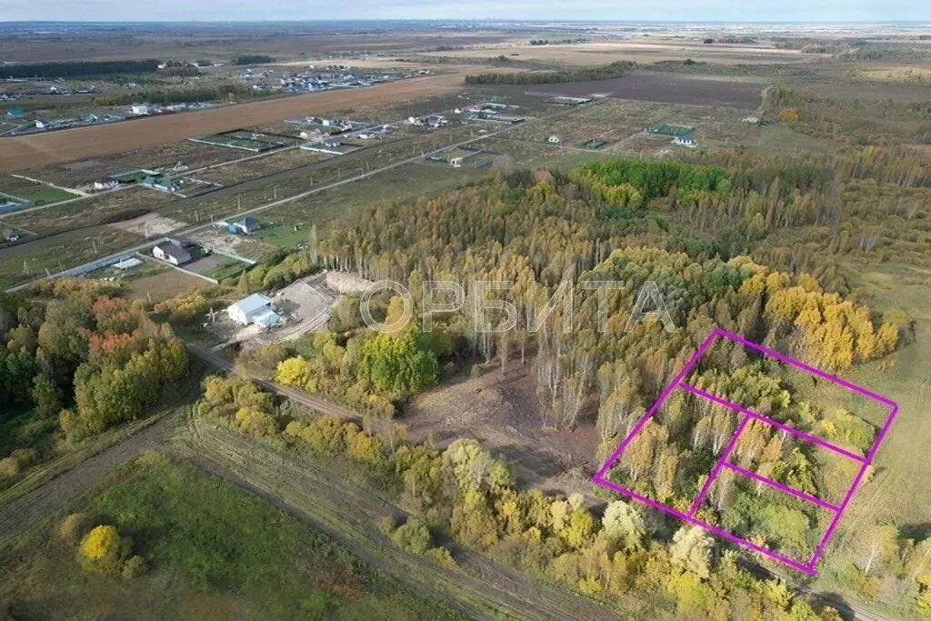 Участок в Тюменская область, Тюменский район, с. Борки  (8.0 сот.) - Фото 1