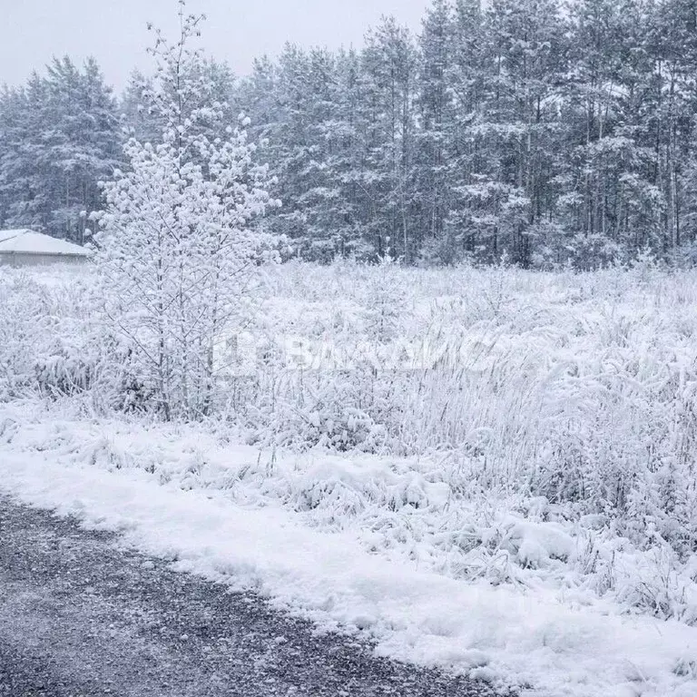 Участок в Нижегородская область, Богородский муниципальный округ, с. ... - Фото 1
