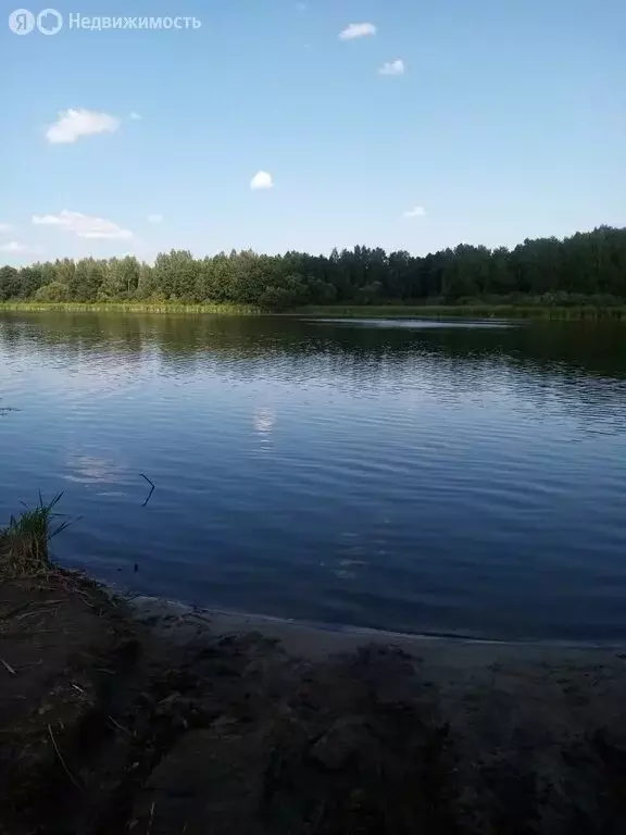 Участок в деревня Фёдоровское, Односторонняя улица (17 м) - Фото 2