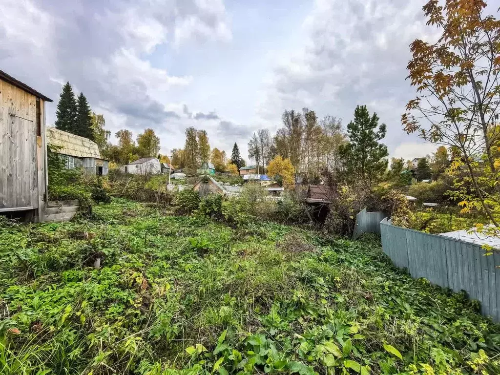 Участок в Новосибирская область, Новосибирский район, Раздольненский ... - Фото 1