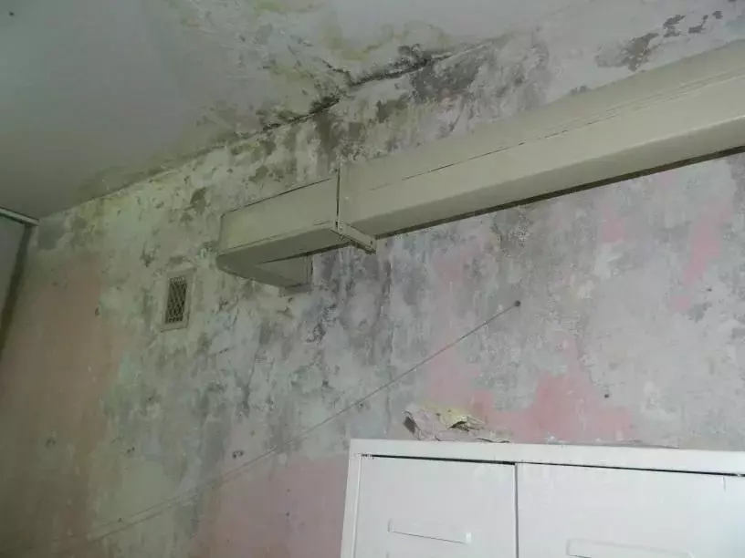 Помещение свободного назначения в Волгоградская область, Камышин ... - Фото 2